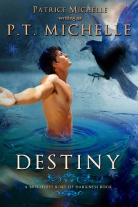 Destiny (Brightest Kind of Darkness #3) by P.T. Michelle