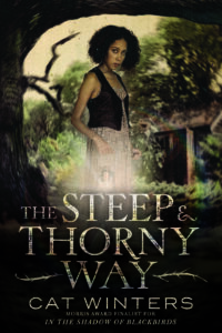 Blog Tour: The Steep and Thorny Way by Cat Winters Review + GIVEAWAY!