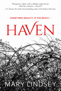 Haven by Mary Lindsey + Giveaway!!!